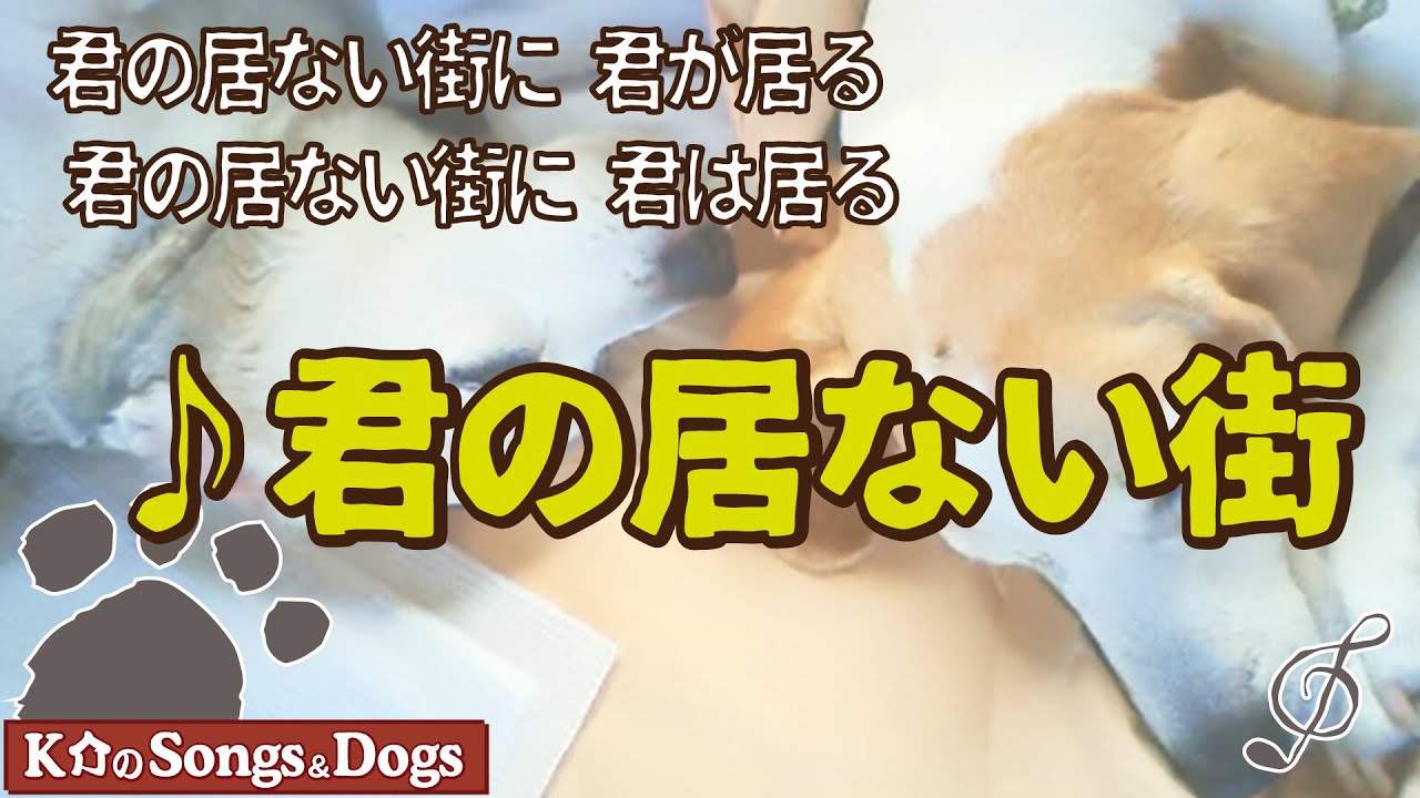 ♪君の居ない街 : K介のSongs＆Dogs週末はミュージシャン