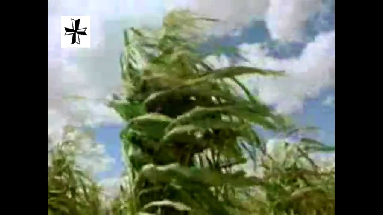 Desert Farmers: The Hopi Culture
