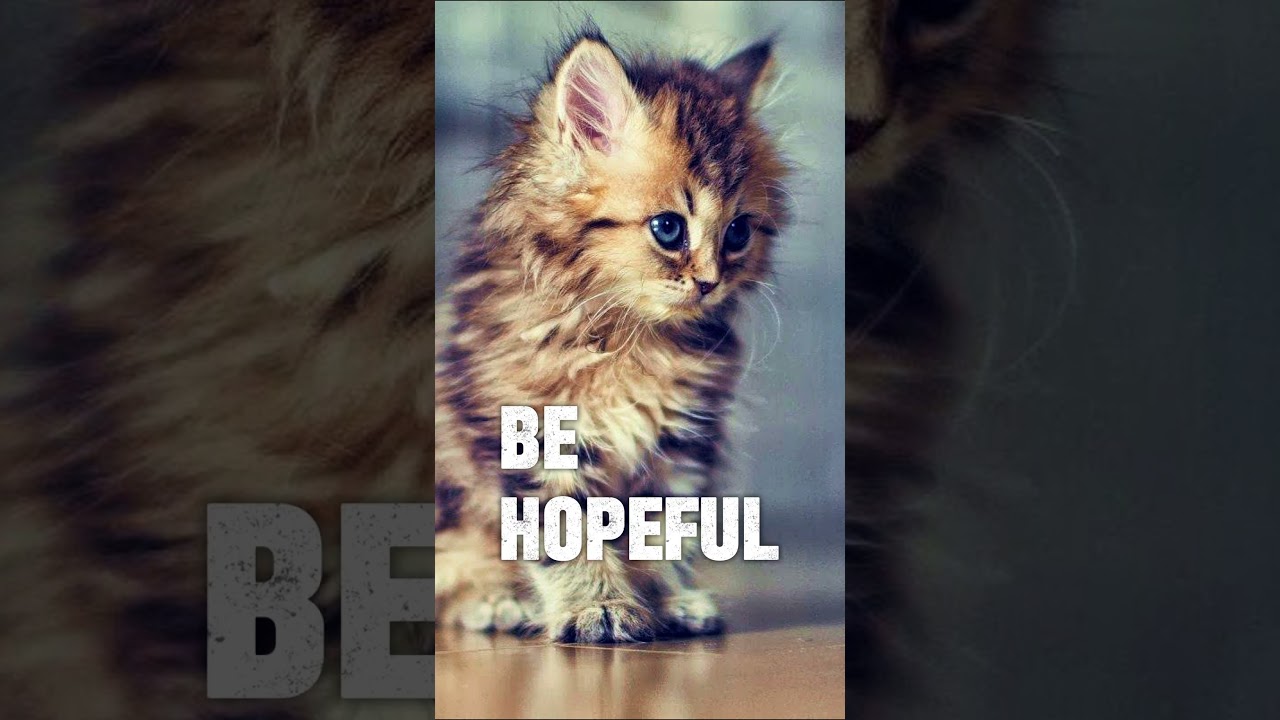 Emotional Healing #88: Don’t Give Up! Better Days Are Coming ❤️ 