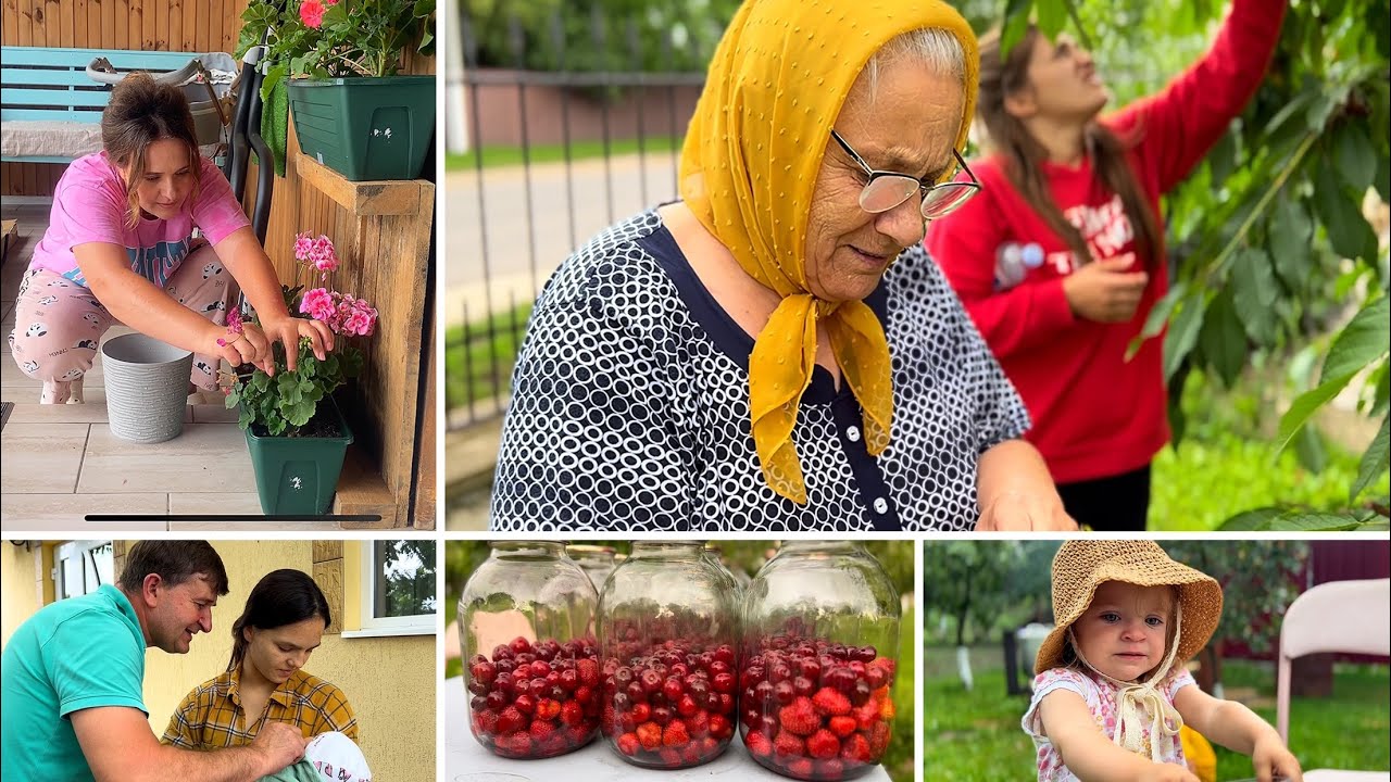 Compot și CĂPȘUNI și PEȘTE ÎNĂBUȘIT la CRATIȚĂ ❤️