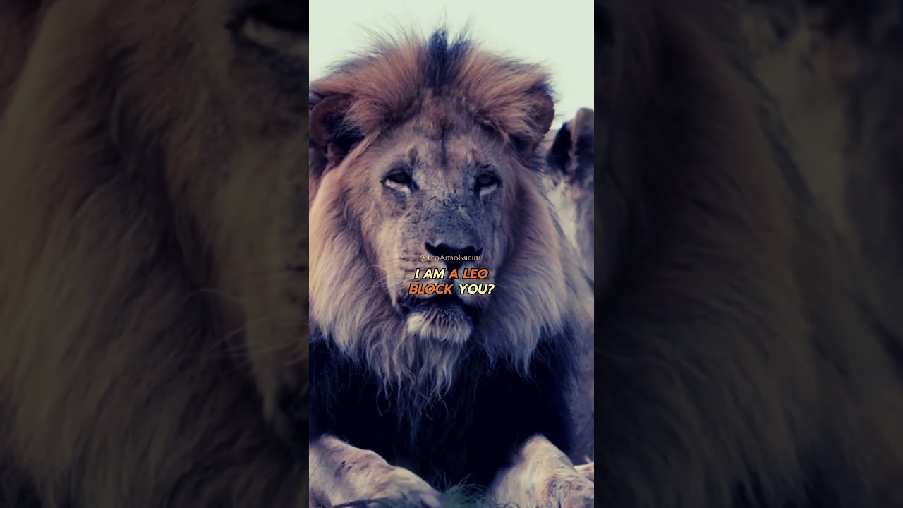 Block you? No ... Inspiring Leo Quotes: Embrace Your Inner Strength #leo #short #fypシ #motivation