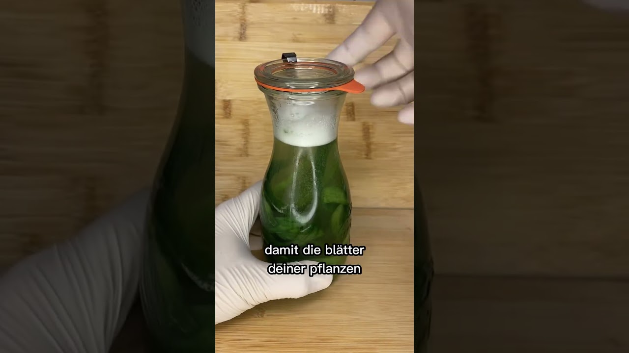 Energydrink f&uuml;r deine Pflanzen 🌱 #gurke #pflege #pflanzen #d&uuml;nger #youtubeshorts  #shorts  #garten