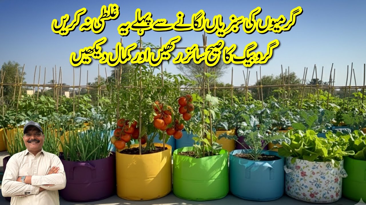 What is Perfect Grow Bag Size for Spring Vegetables in Kitchen Garden|Garmiyo Ki sabziya Kaise lagai