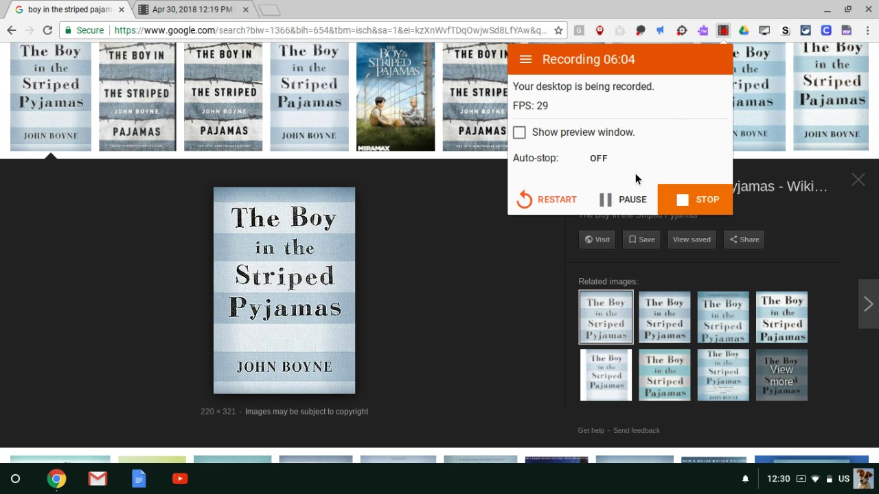 The Boy with the Striped Pajamas - audio chapter 8