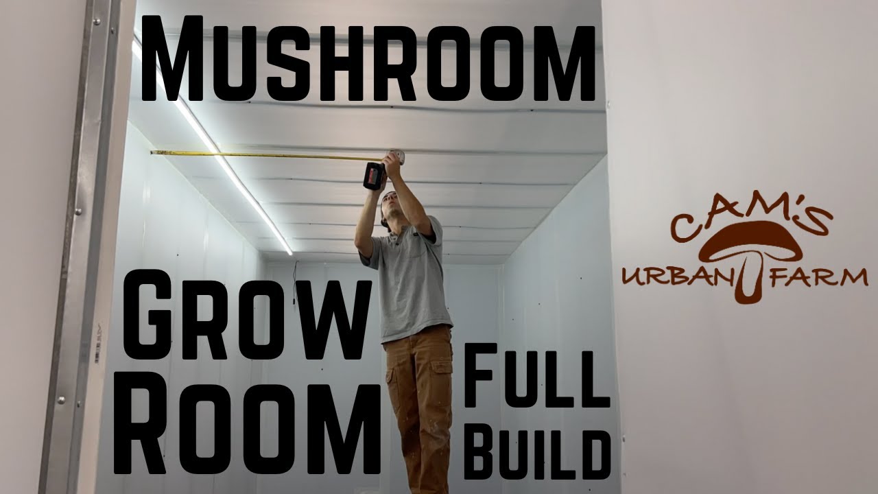 Building a Mushroom Grow Room from Start to Finish