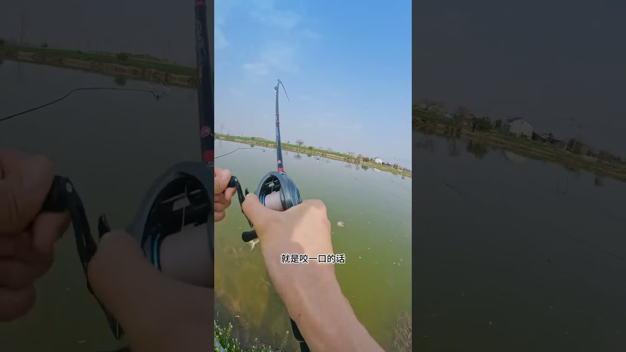 钓鱼还能卖甘蔗，一网双收