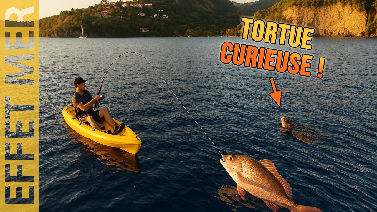 Une TORTUE vient apprendre à PECHER des VIVANEAUX en KAYAK | JIG en Martinique