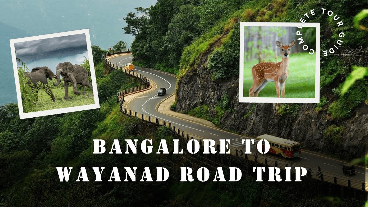 Bangalore to Wayanad Road Trip | Scenic Drive Through the Western Ghats 🏔️