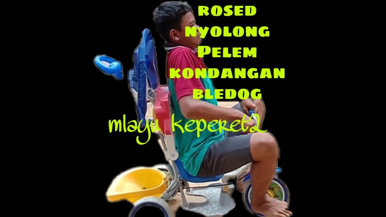 Film lucu rosed nyolong pelem