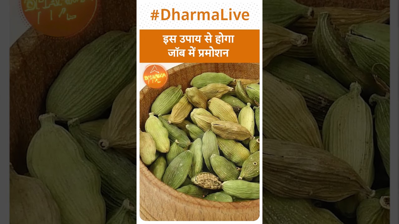 Job Promotion : इस उपाय से होगा जॉब में प्रमोशन | Dharma Live