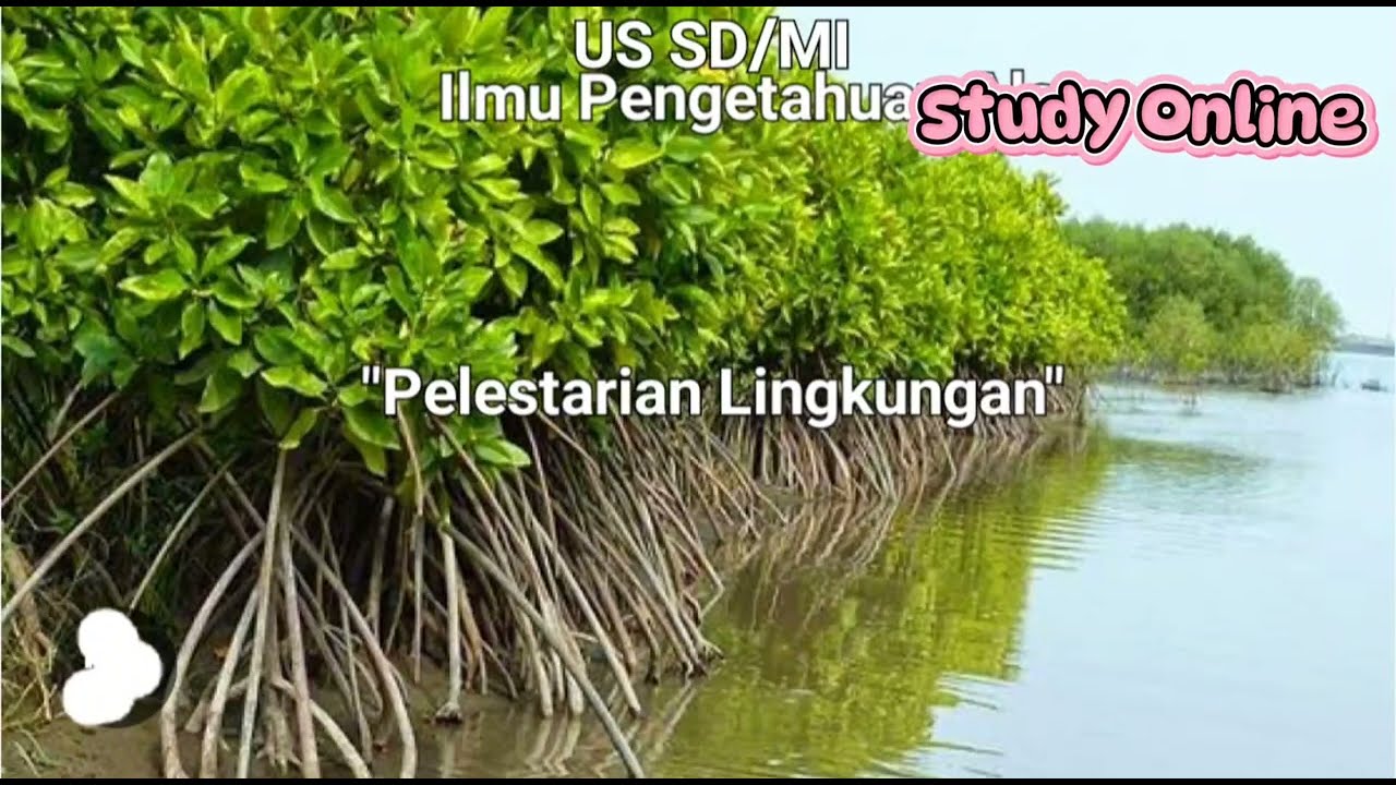 US SD/MI IPA | 