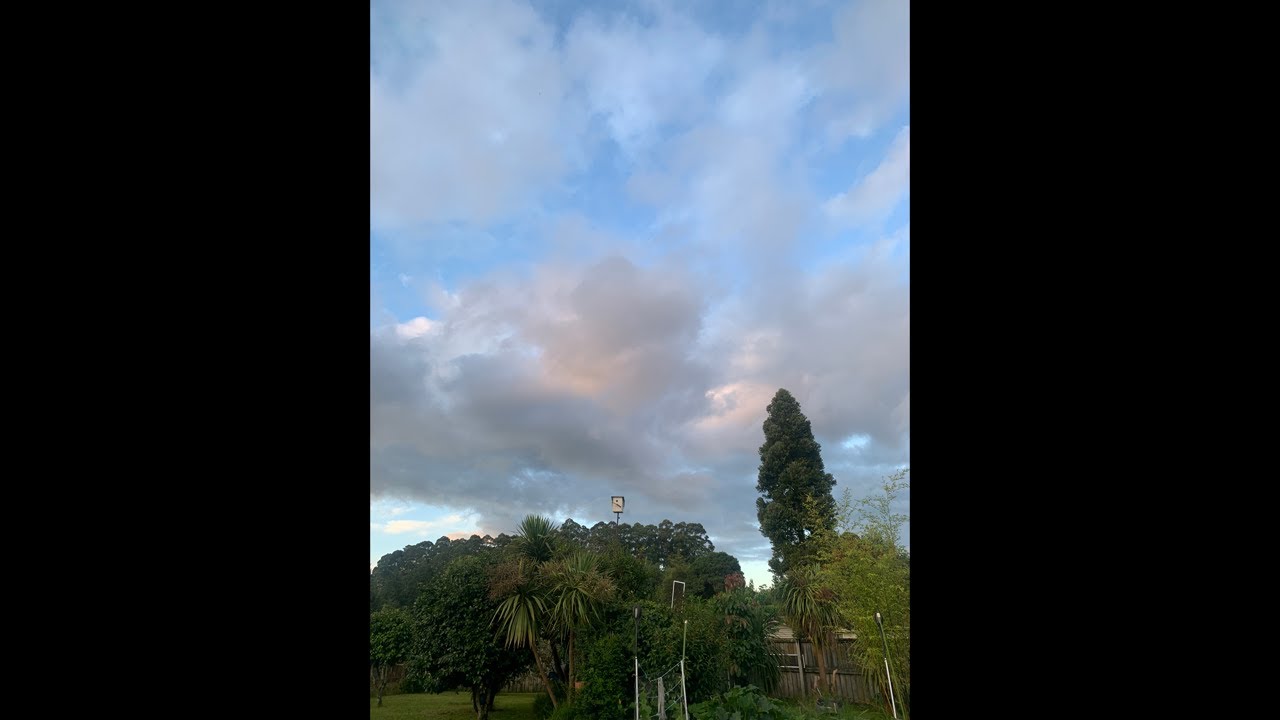 Enjoy the nature evening vibe
