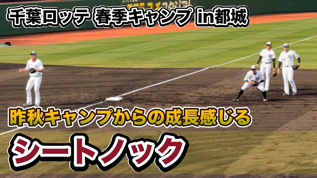 【キャンプ】野手シートノック | 千葉ロッテマ 2026春季キャンプ