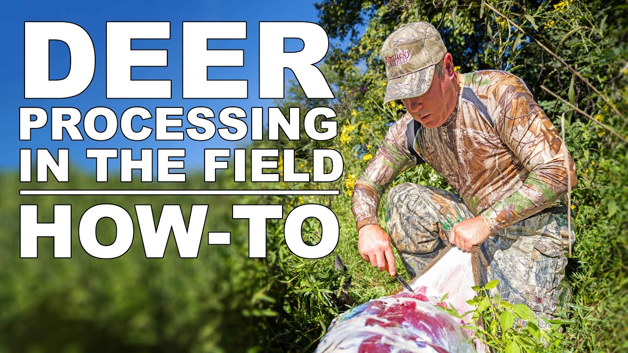 How to Process or Debone a Whitetail Deer in the Field