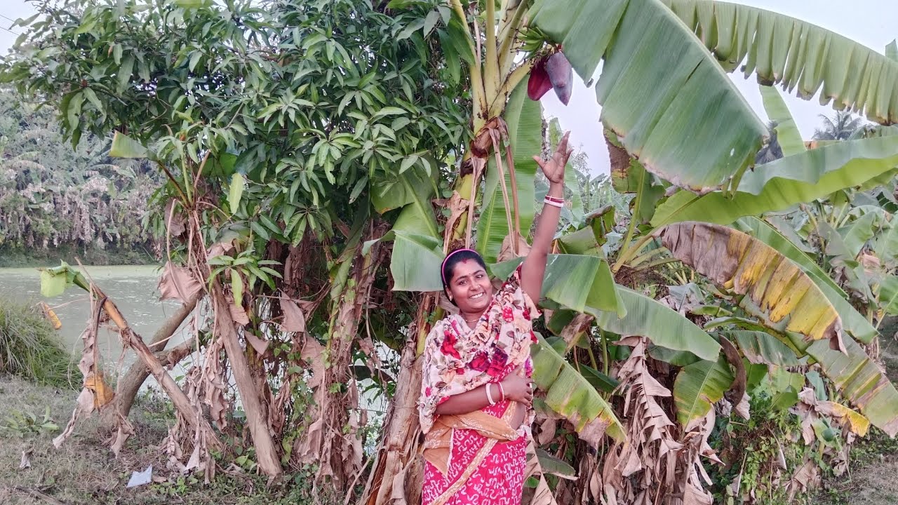 আমার ছোট্ট গ্রাম#dance #video  🏞️