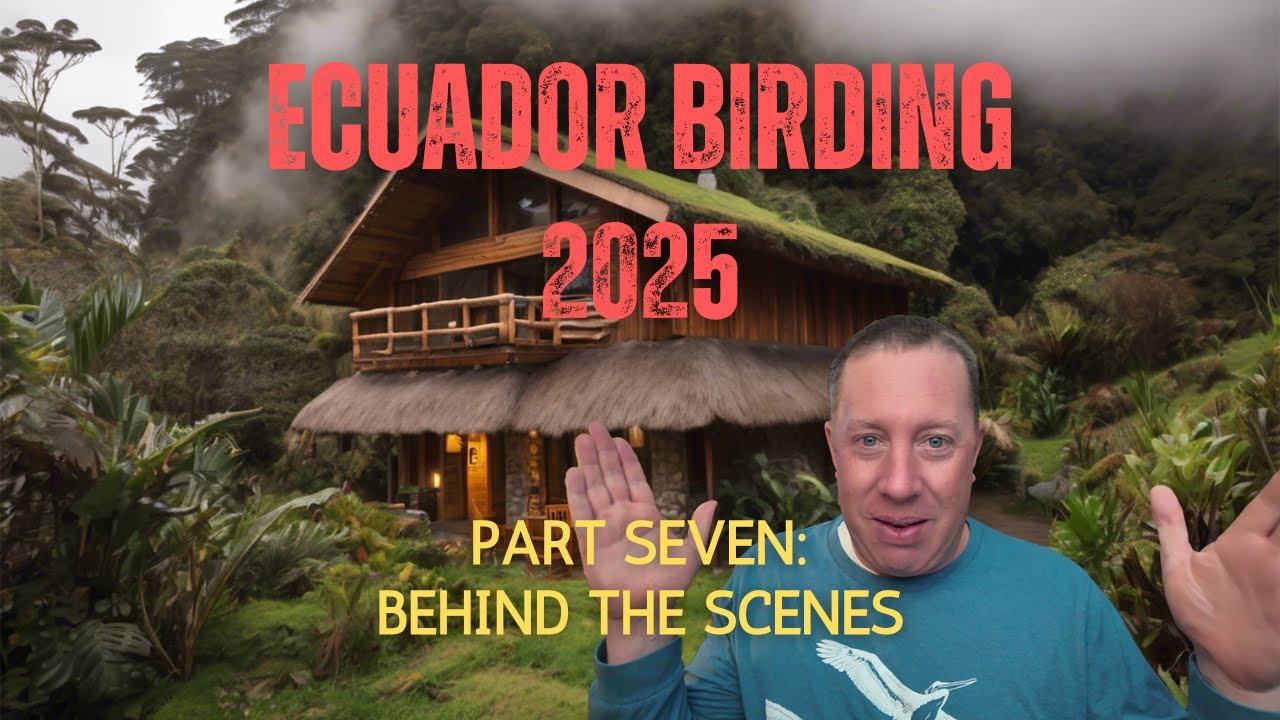 Ecuador Birding 2025 | Part 7 - Review & Behind The Scenes