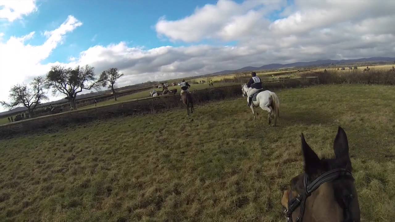 The Golden Button 2015 (Miles Seston riding Lilly)