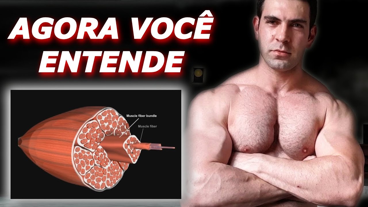 POR QUE É IMPORTANTE SEGURAR A VOLTA DO MOVIMENTO - Fase Excêntrica
