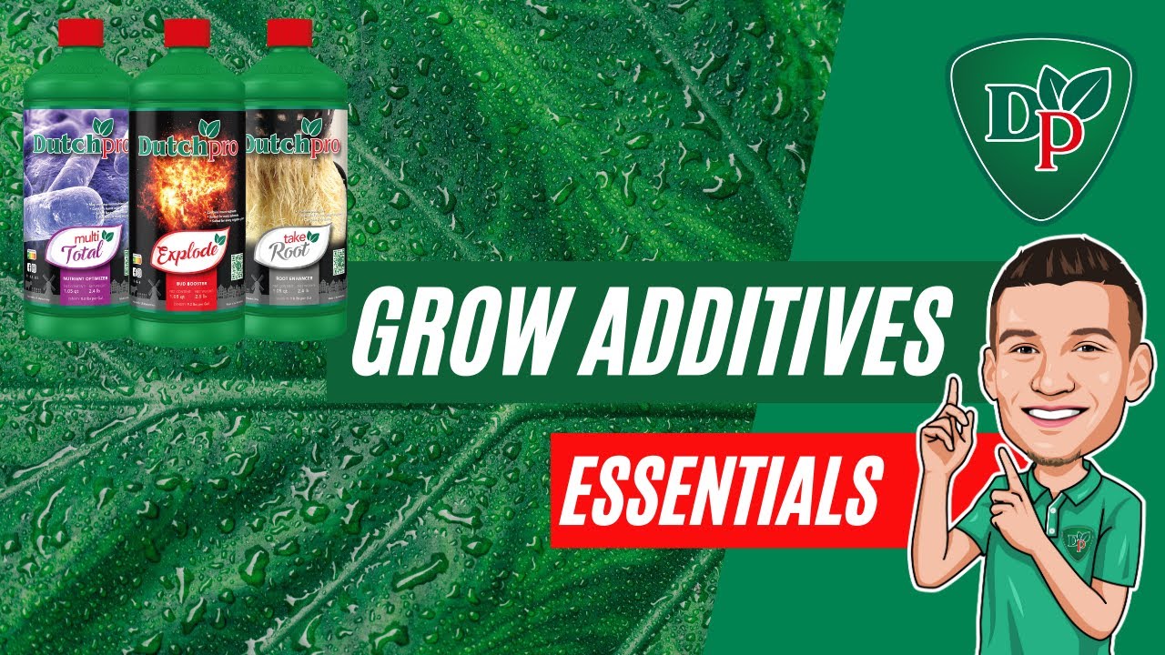 Plant Nutrient Additives: What Makes an Additive Essential? | Dutchpro USA