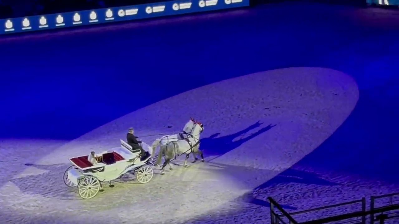 Cavaliada Sopot 2025 pokaz grupy kaskaderskiej Daniela Tomaszewskiego