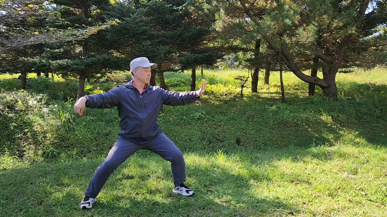 진식실용(홍파)태극권 1로 앞부분 시연자 오창기 #taichi #chen taichi