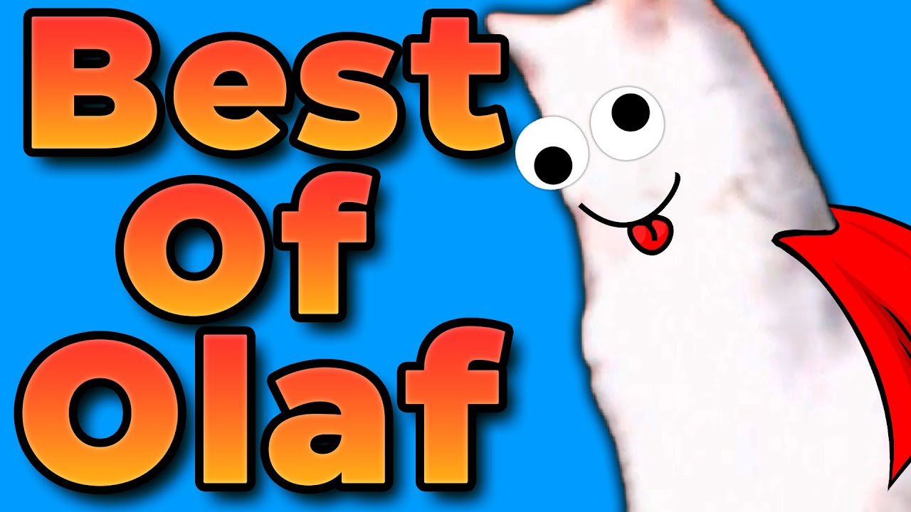 The MOST entertaining Cat on Twitch (ML7's Olaf)