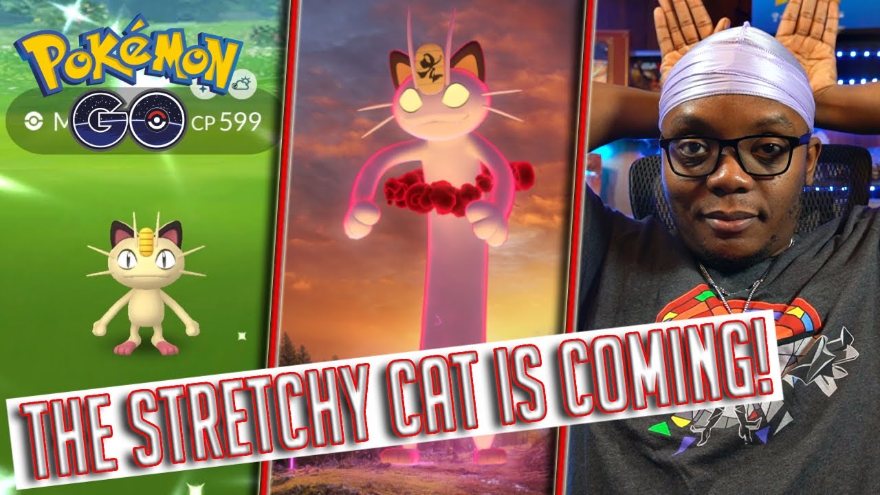 Pokémon Go: The Stretchy Cat is Coming to the Game!!!