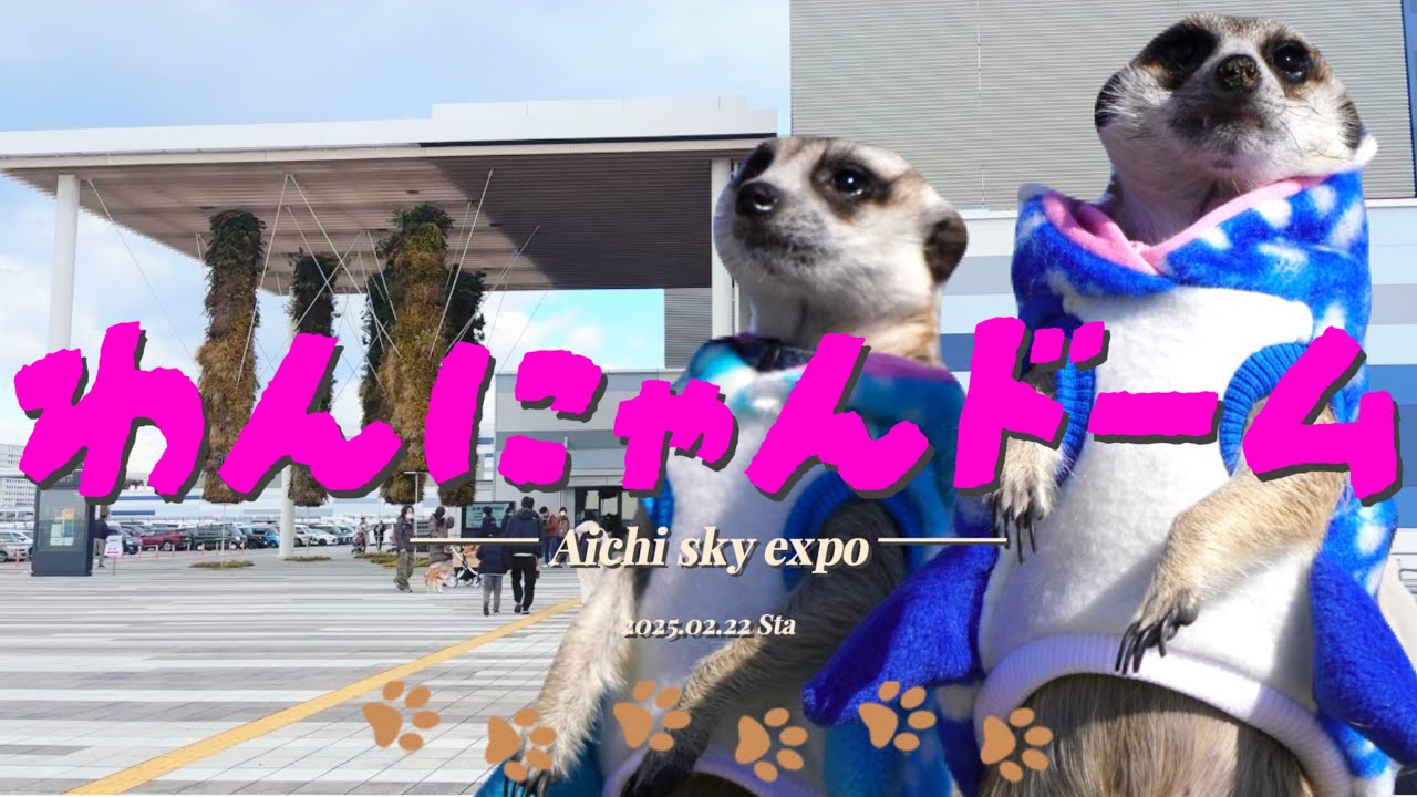【初投稿】ミーアず、わんにゃんドーム2025に参上！！