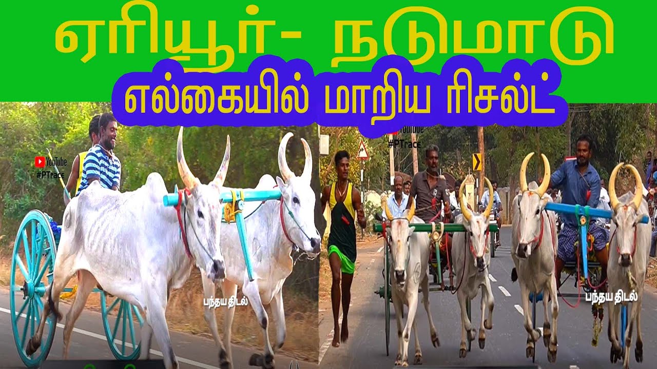 #PTRace ஏரியூர் நடுமாடு பந்தய திடல் 17/03/2022