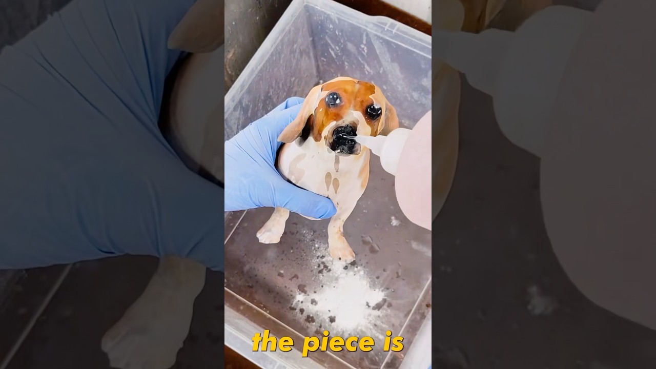 Turning My Dog Into SLINK From TOY STORY! #art #diy #howto #dog