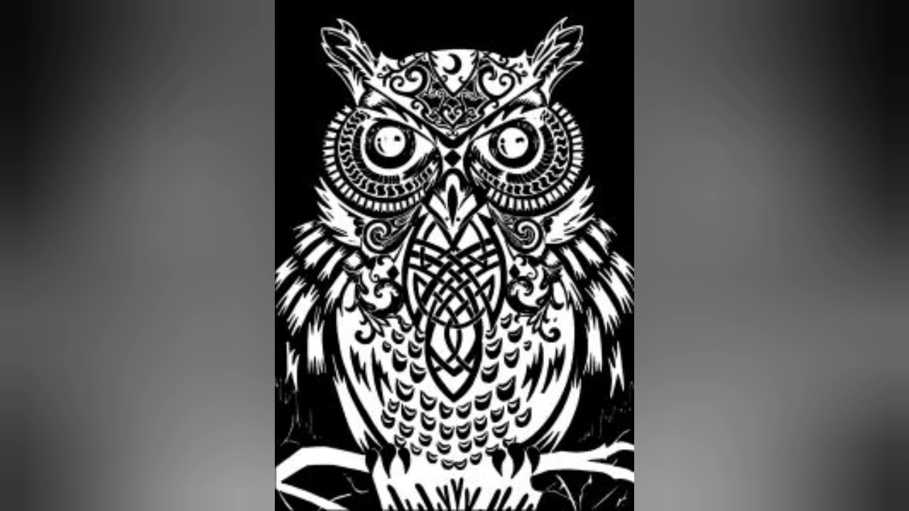 Owl Art 🦉🦉🦉