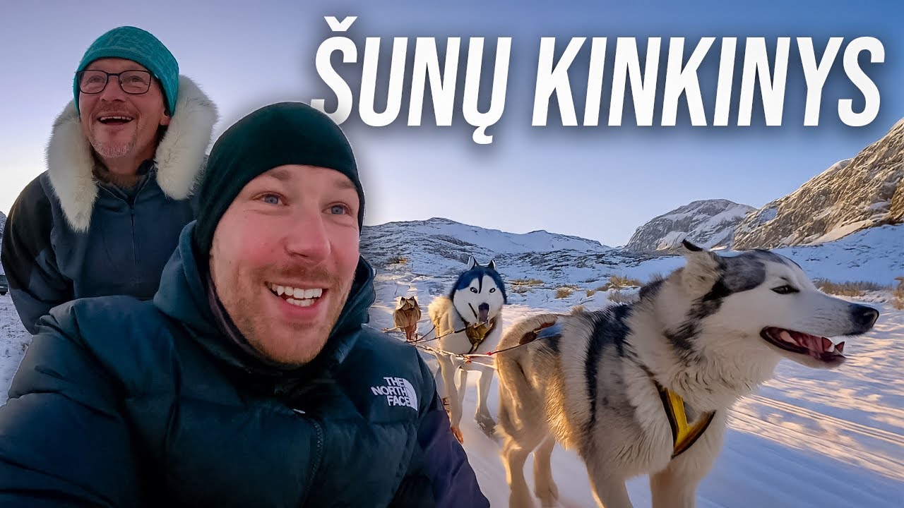 SKRENDAM SU ŠUNŲ KINKINIU PER SNIEGĄ