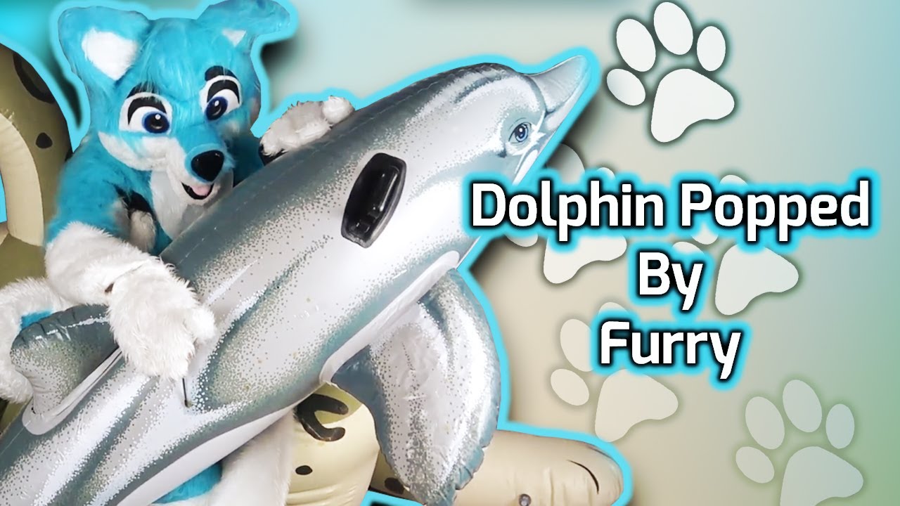 Pop inflatable - Mean Furry popping the Vintage Dolphin on PuffyPaw Snow Leopard 🐬🐆💨