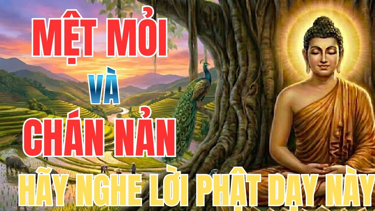 Nghe Lời Phật Dạy: Khi Bạn Đang Mệt Mỏi và Chán Nản Hãy Nghe Lời Phật Dạy Này | Phật Pháp Tâm Thức