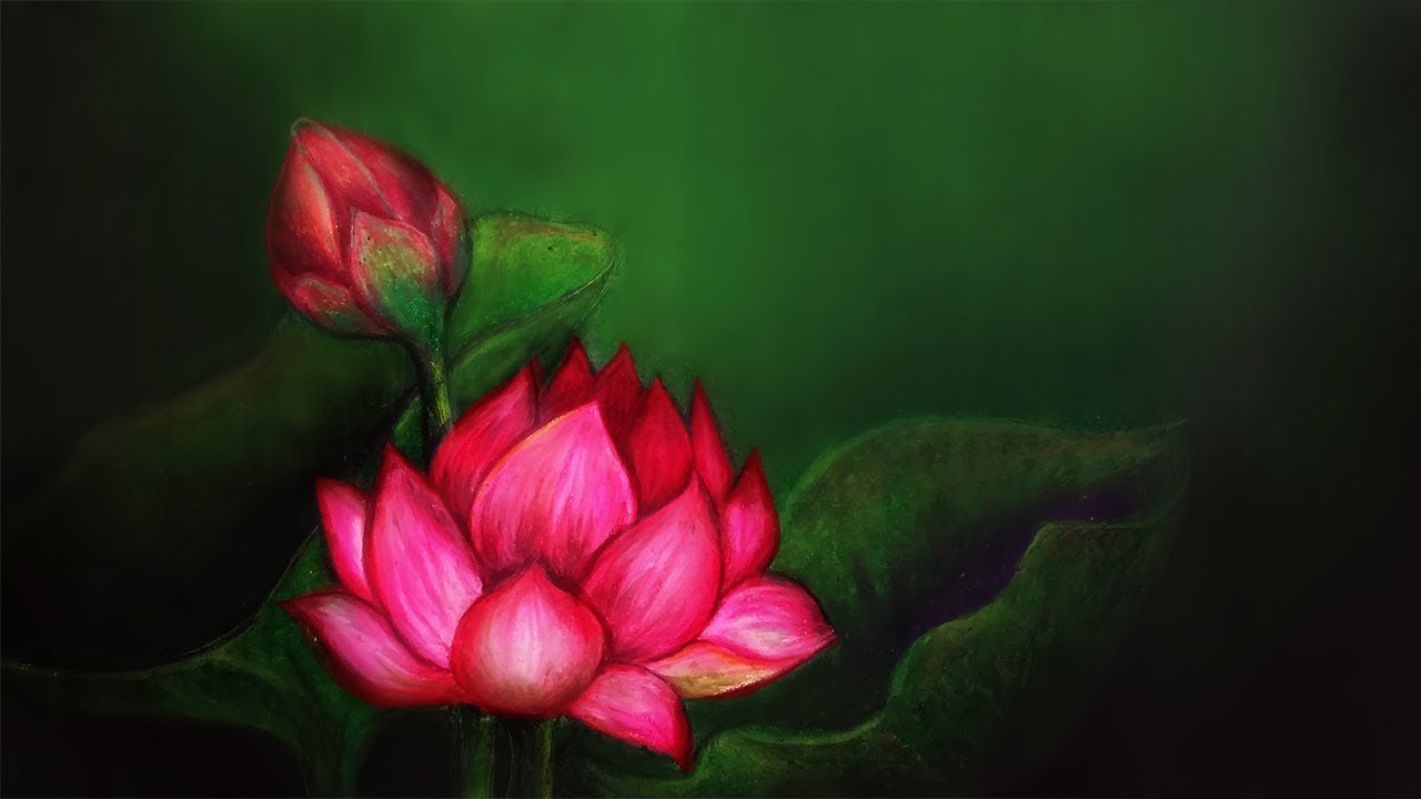 easy oil pastel drawings lotus flower/ how to draw flowers for beginners step by step