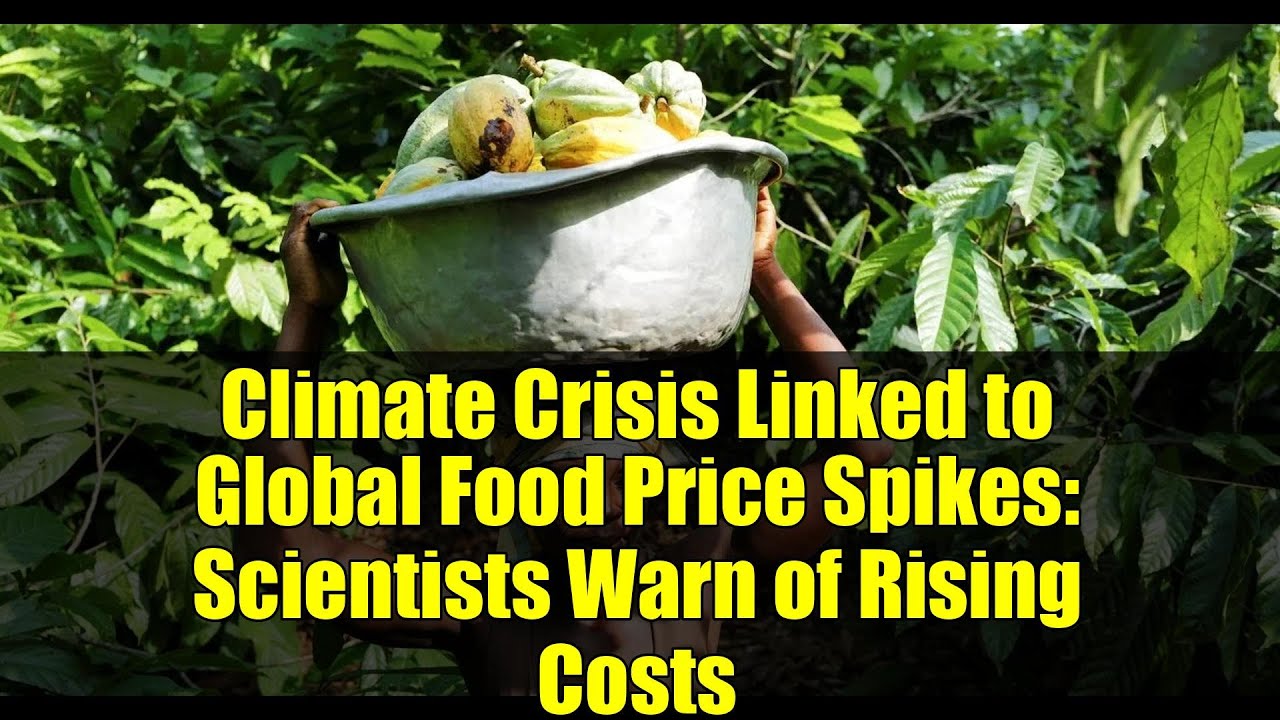 Climate Crisis Linked to Global Food Price Spikes: Scientists Warn of Rising Costs