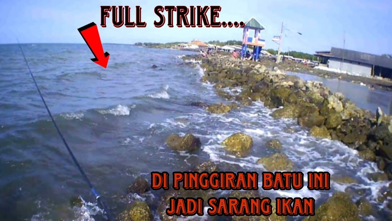 Mancing di Spot kejutan di pinggiran Batu Pantai Wisata Pondok Bali Subang,