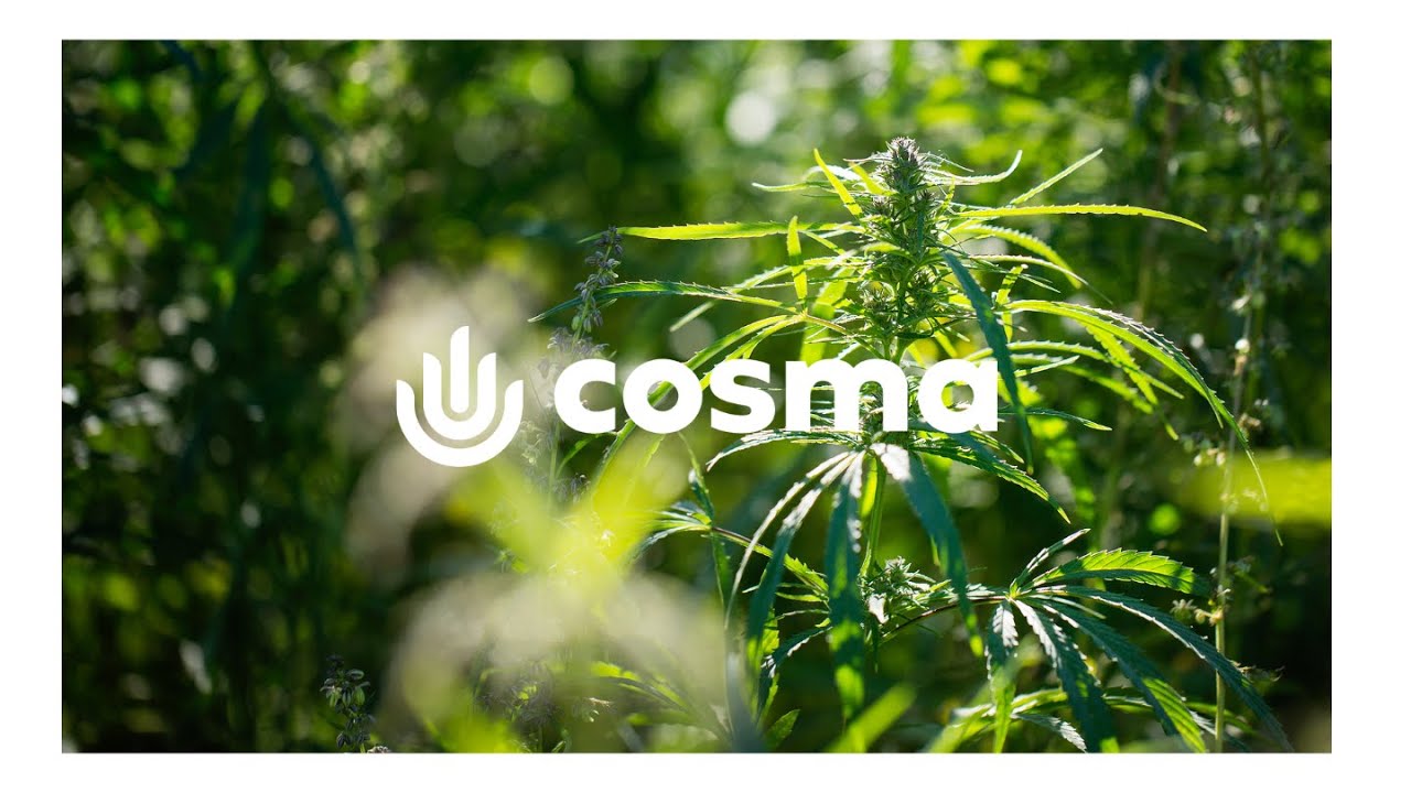 COSMA - Terapeutyka produkt&oacute;w konopnych - Cosma Cannabis Synergy - napisy