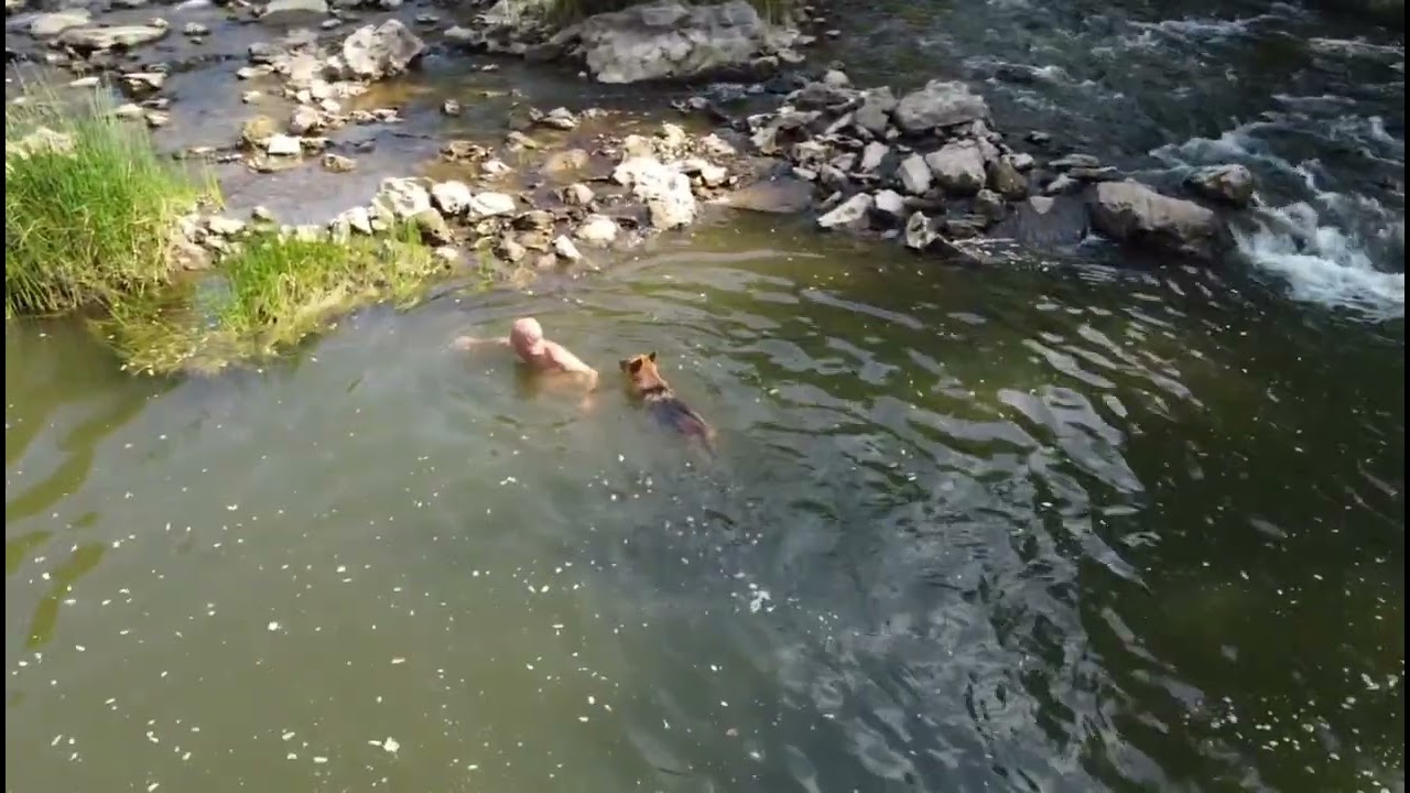 Reka Timok, kupanje 2024