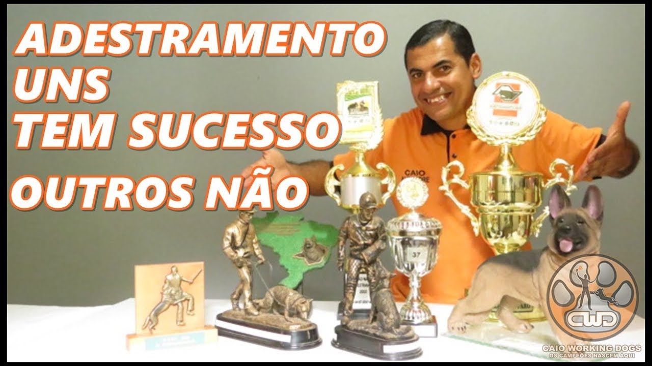 Adestramento canino - Porque alguns tem sucesso e outros não?