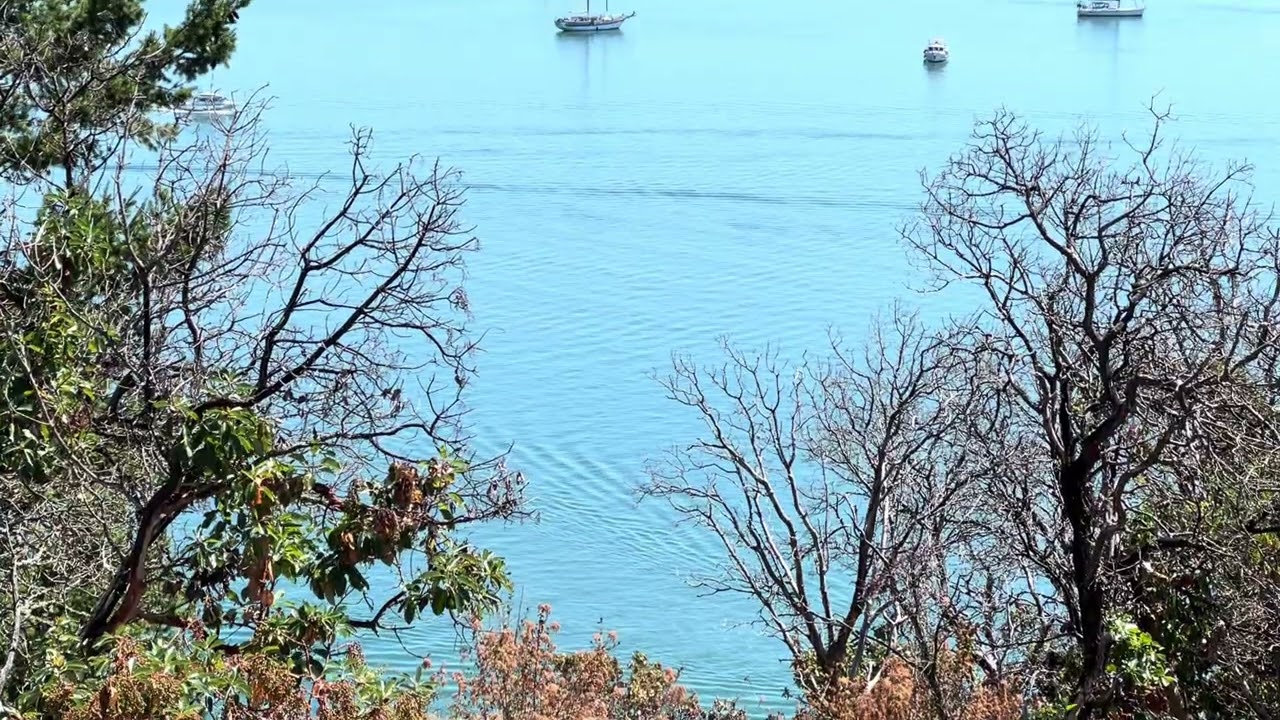 Boats Going Into Cap Sante Marina in Anacortes, Washington