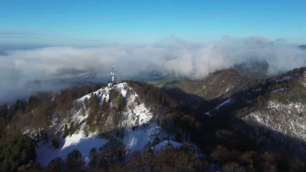 Mrzlica