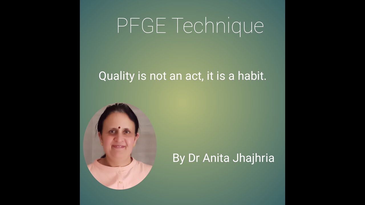 PFGE TECHNIQUE