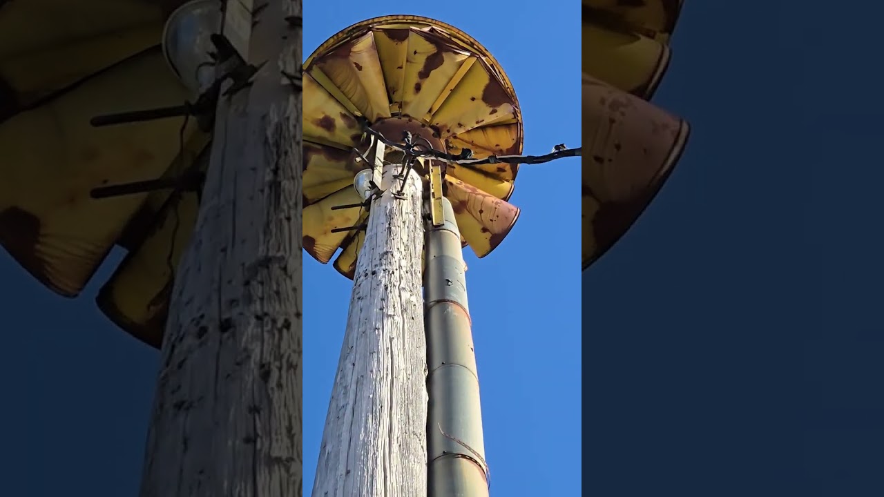 BTS Federal Signal 3T22 | Short Alert | Speculator, NY 11/29/25
