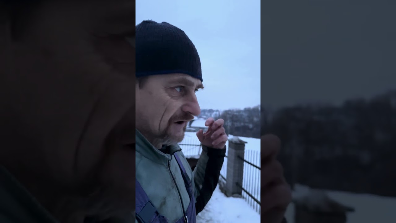 Про  більших породистих 🐕 псів.Для тих, хто планує придбати. Як утримувати і скільки коштує. 