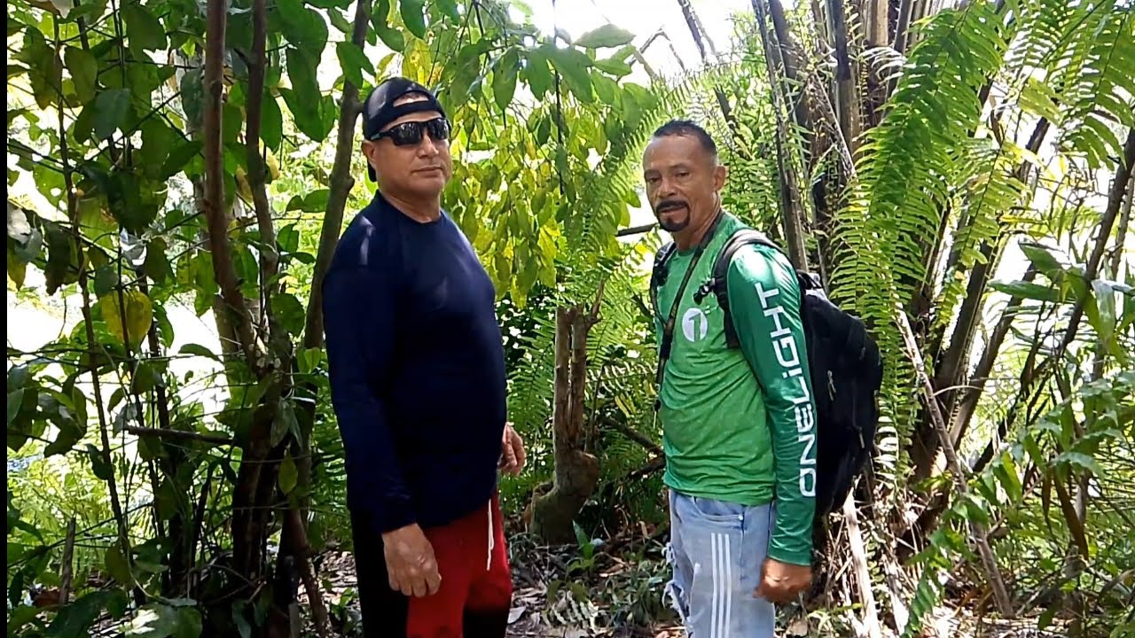 Aventureiro fez vídeo com seu seguidor colhendo frutos da floresta 