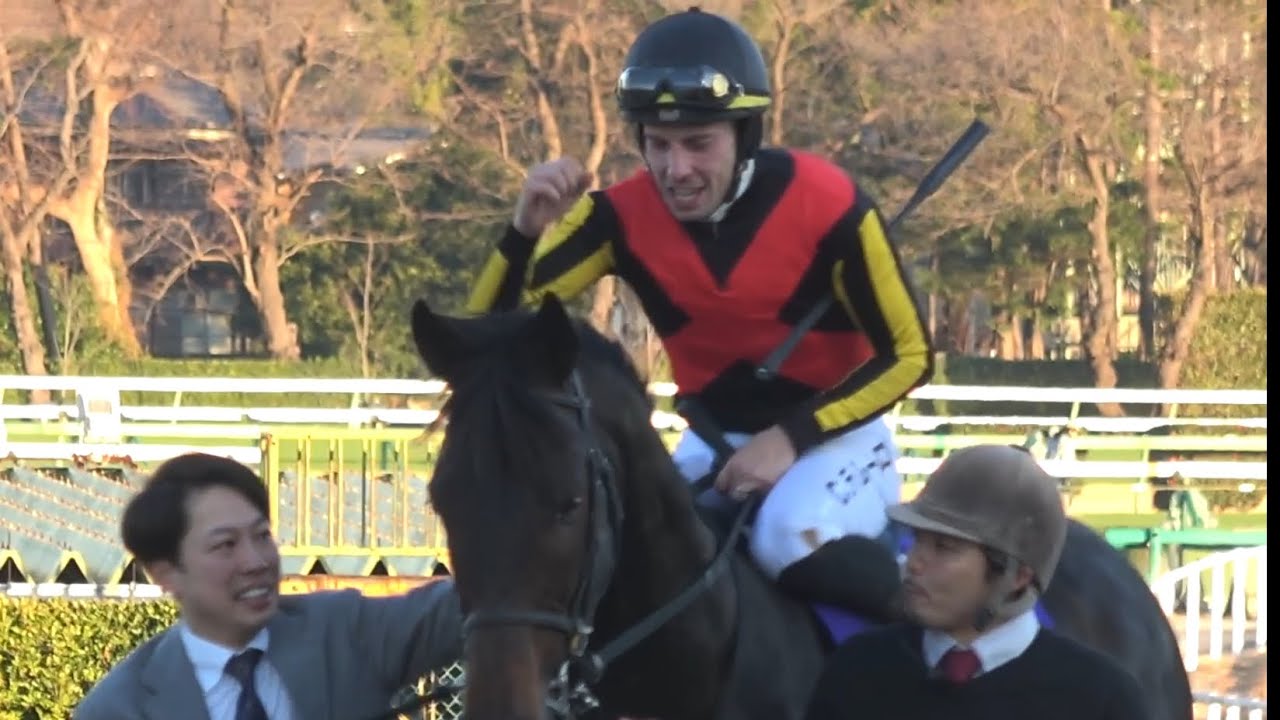 【現地】2025 G1 有馬記念 ミュージアムマイル C.デムーロ 【中山競馬場 グランプリロード】