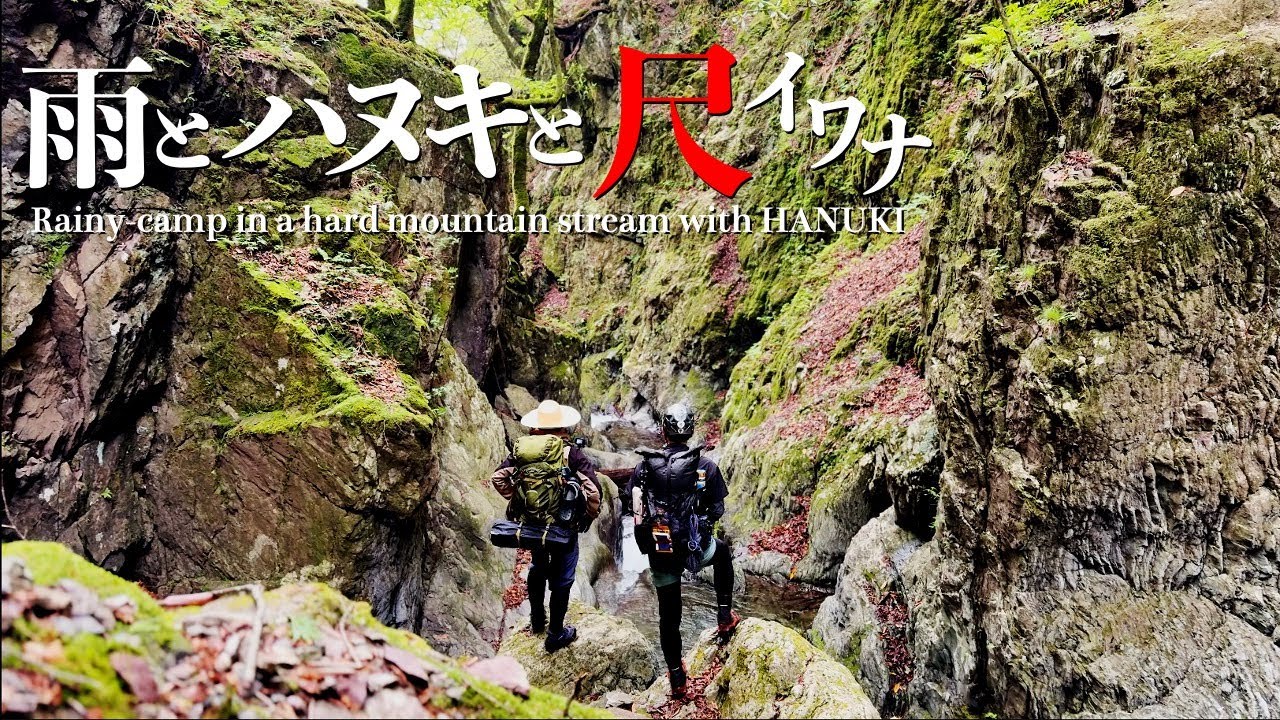 あのゴルジュの先へ｜オオカミ住まう谷の尺イワナ【ハヌキ】【渓流つり】　Into the Rainy Gorge