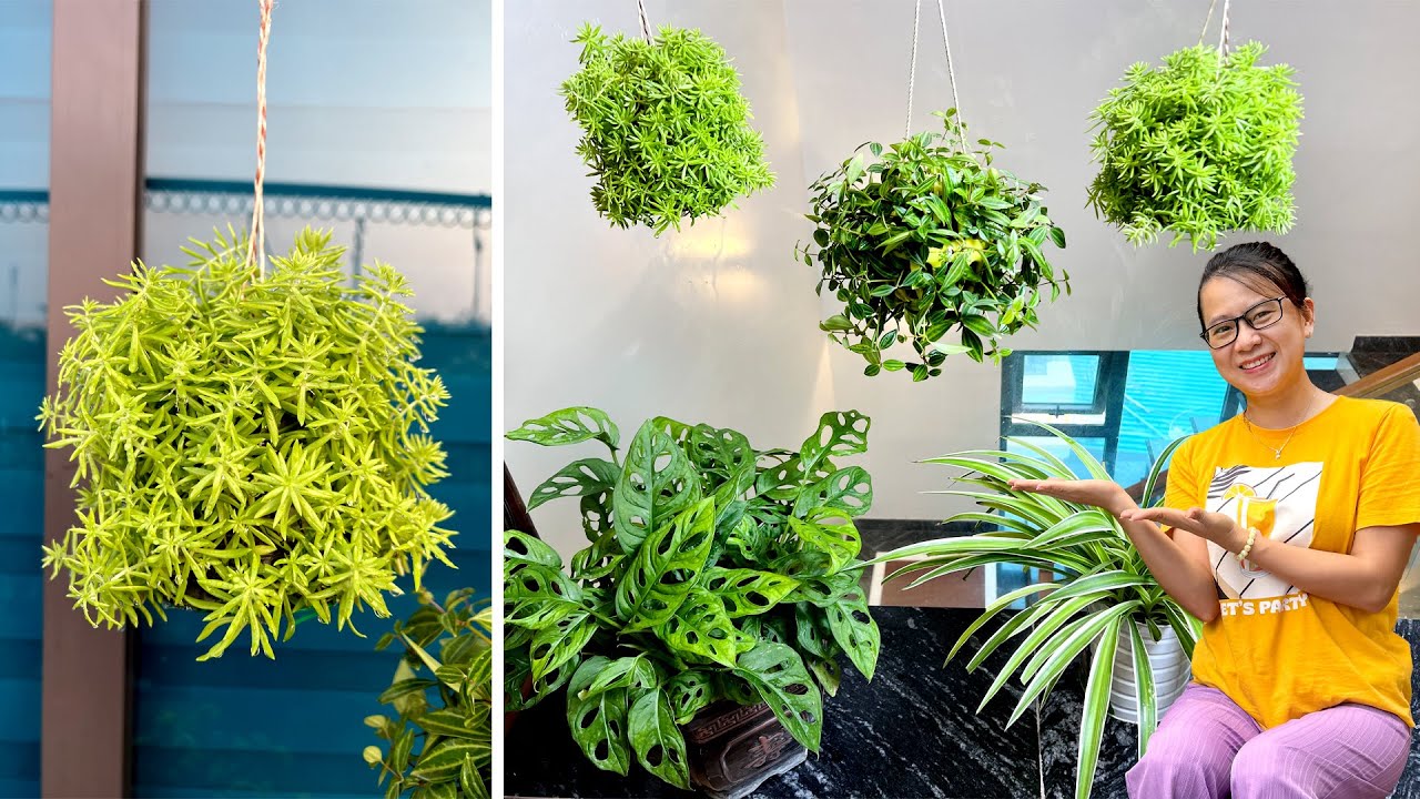 Преобразите свой сад: превратите использованные пластиковые стаканчики в супермилые подвесные кашпо