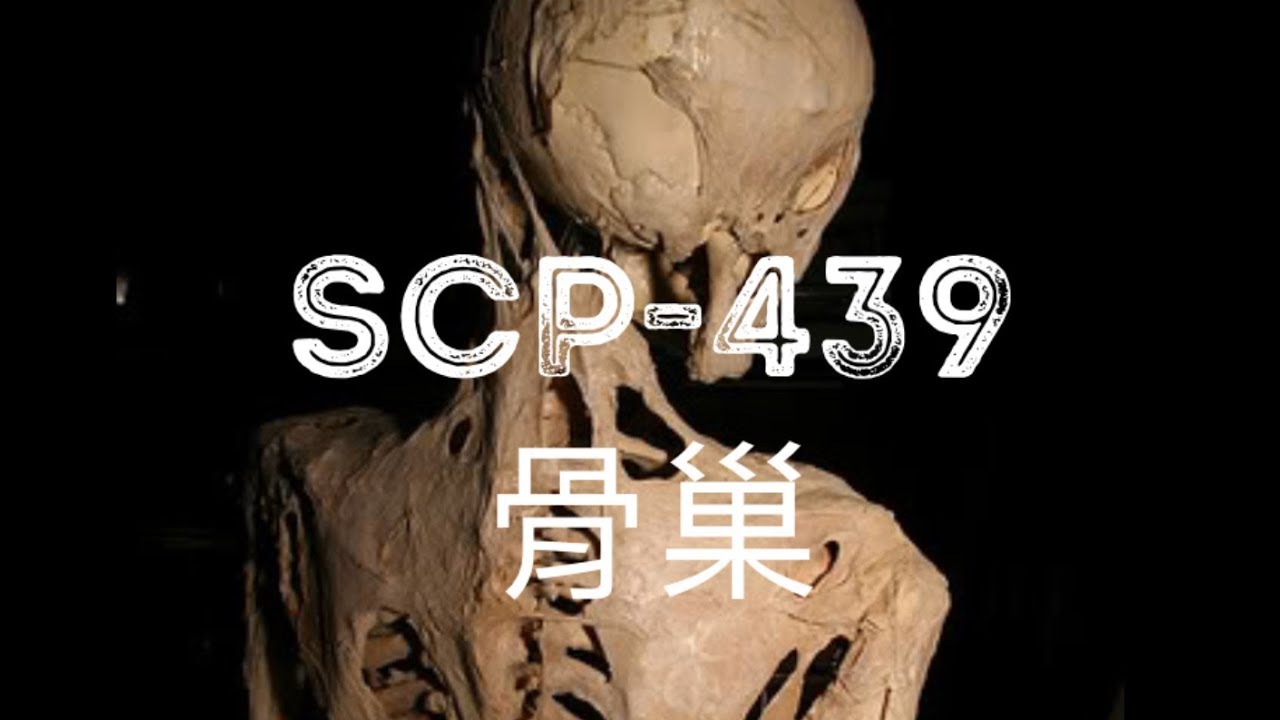 SCP基金會 SCP-439 Bone Hive 骨巢 (中文）